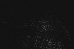 Absagen-I