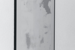 A2